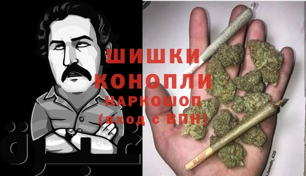 шишки Пересвет