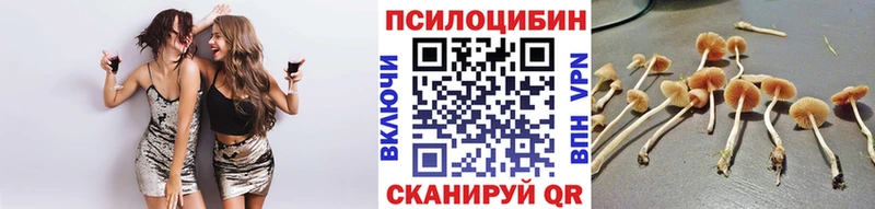 Галлюциногенные грибы Magic Shrooms Купить где Дудинка